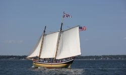 Schooner Fame at sail